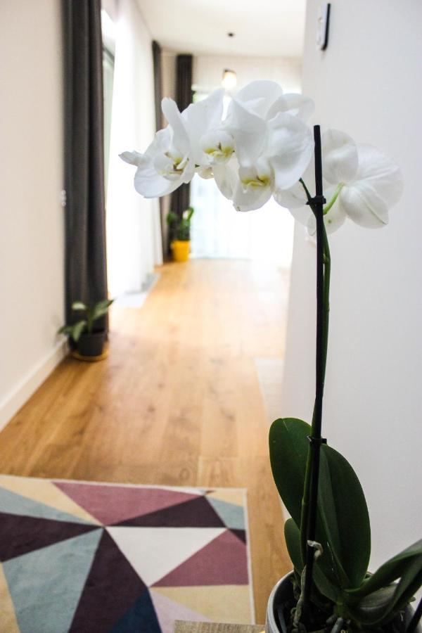 Apartament 8Ight Braszów Zewnętrze zdjęcie